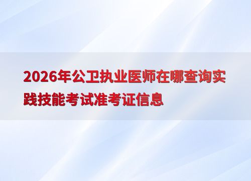 2026年公衛執業醫師實踐技能考試準考證查詢指南 渠道、步驟與技術交流